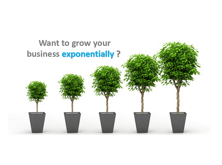 Vruxsol website development